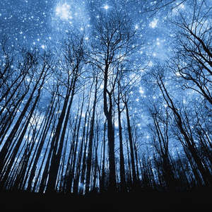 关晓彤玩弄奶头
